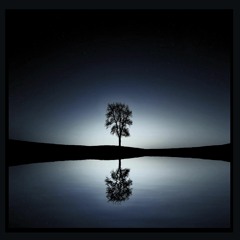 Placid