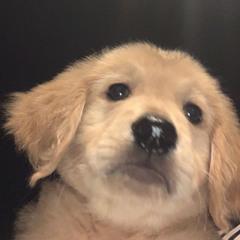 tại vì sao remake piano