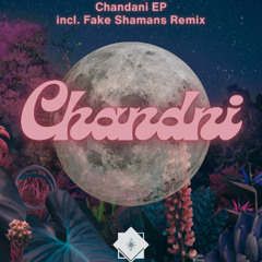 PREMIERE: Tabby - Chandni (Fake Shamans Remix) [Fake Rituals]