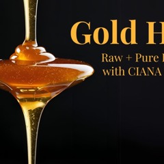 Gold Honey, live at The Portal, Mill Valley, July 11, 2025