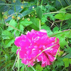 Prinz*essinnen mit Rollenspiel