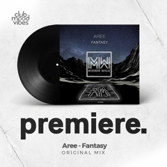 PREMIERE: Aree ─ Fantasy (Original Mix) [Mirror Walk]