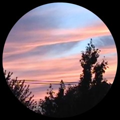 DJ Roommate - Need You