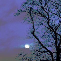 Gemini Full Moon Mix