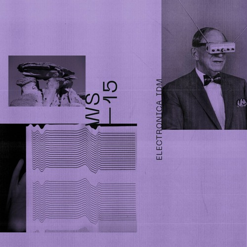 WS15 - Electronica IDM