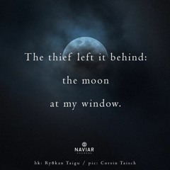 The thief's behind [naviarhaiku454 - The thief left it behind]