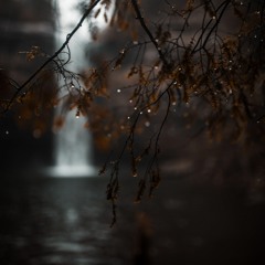 Autumn Rain II