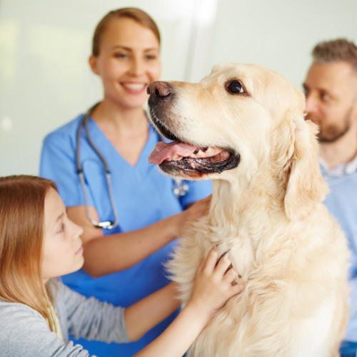 Beyond the Toothbrush: Practical Approaches to Home Dental Care