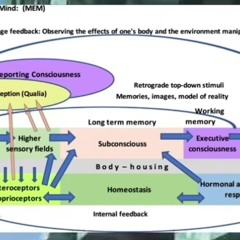 tired of carti clones