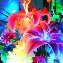 #BLOOM