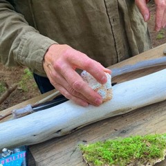 Branching Songs Ensemble performance excerpt