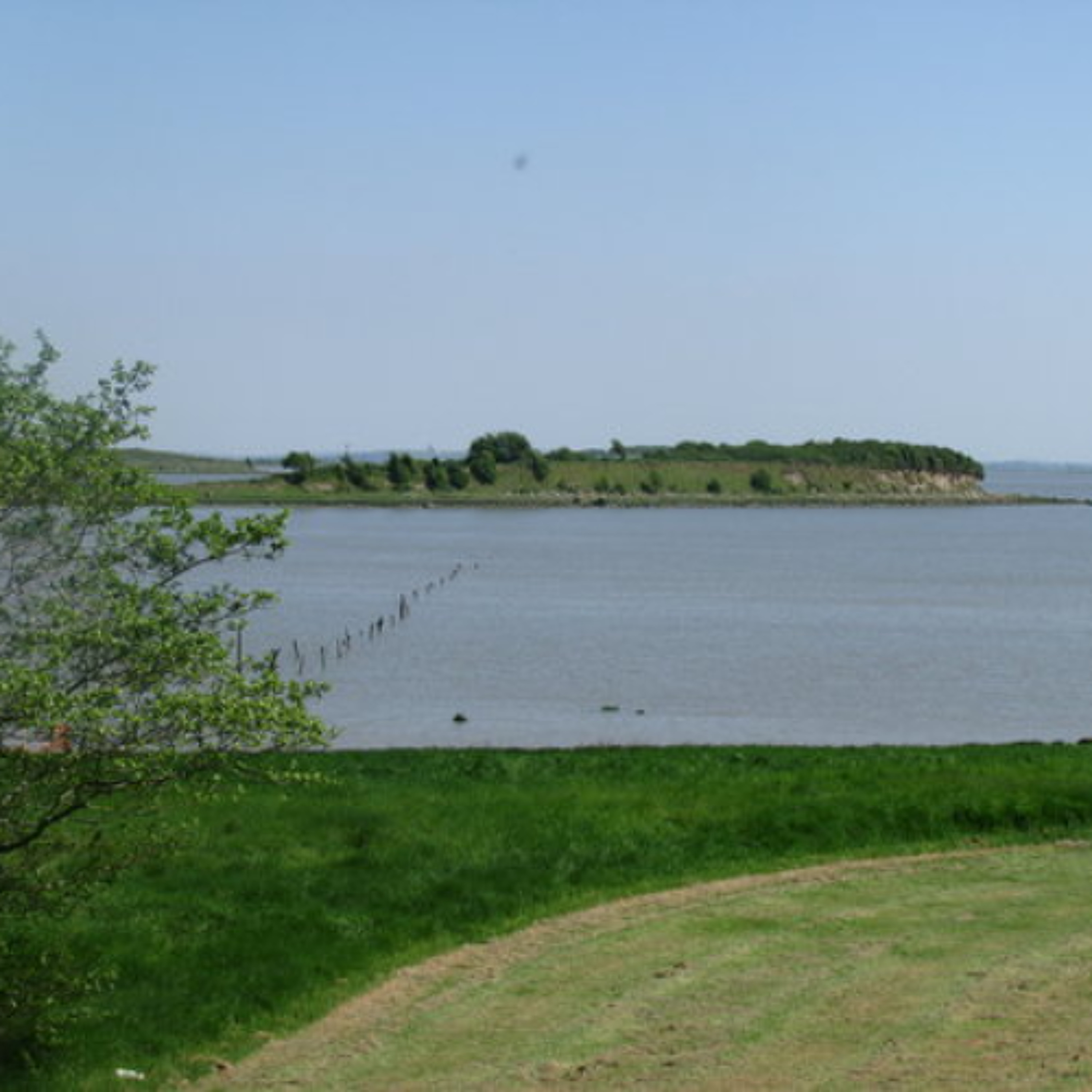 Push For Development Of The Point In Shannon