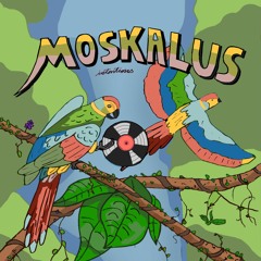 Intentions 09 // Moskalus