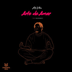 Mr.Vibes - Arte de Amar