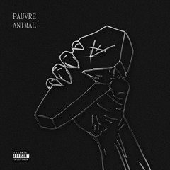 Pauvre Animal