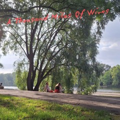 Thousand Miles of Wires (Demo)
