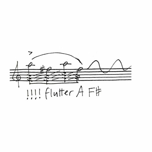 !!!! flutter