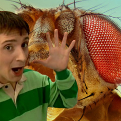 KONG x LUCKY FLY (MASH UP)