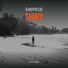 EASYKID - SHINY (Nesco Remix) [Extended]