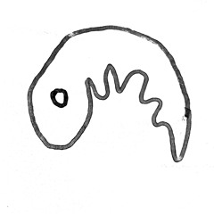 Es regnet auf meinen Kopf / Foetus Project (feat. Neniu)