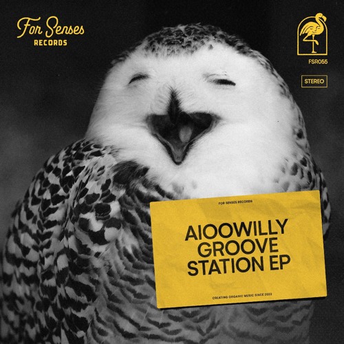 Premiere: Aioowilly - Flow (Original Mix)