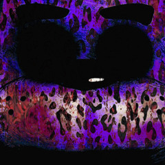 xul but if he was lildiddybop556😹