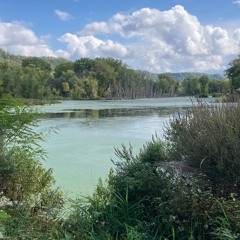 Freeing Your Breath - Chair  9-16-25