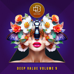 Deep Value, Vol. 9 (Dj Mix)