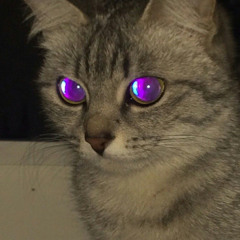 TRANSFORMO