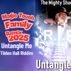 Shadow - Untangle Meh (MTF REMIX) Tilden Hall Riddim (2025)