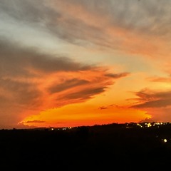 Tardecita