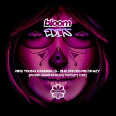 She Drives Me Crazy [Pedro Vasconcelos, FEFO (IT) Edit] (Free Download)