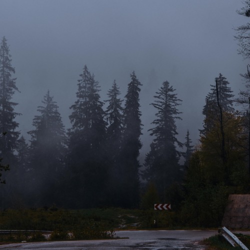 Misty Morning
