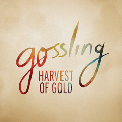 Harvest Of Gold (Yes You Remix)