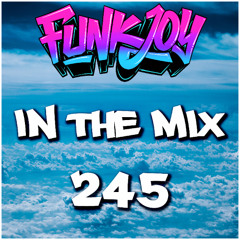 funkjoy - In The Mix 245