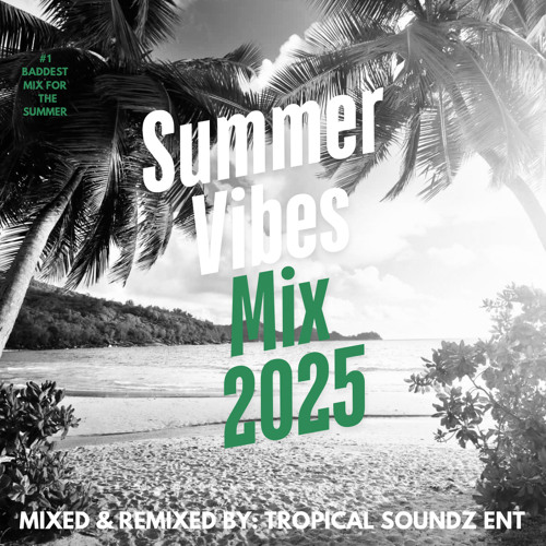 Summer Vibes Mix 2025 (Dancehall, Reggae, Soca, Latin)