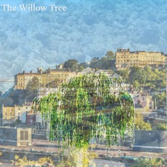The Willow Tree
