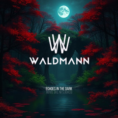 Waldmann - Echoes in the Dark [FREE DOWNLOAD]