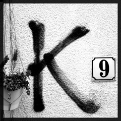 Farewell Skinny @ K9