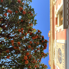 Ecco 2k - Peroxide ***Show Me Love REMIX***