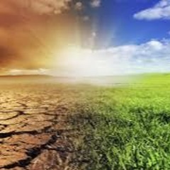 El Deterioro del ambiente