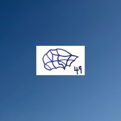 Immersive Groove #49