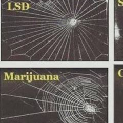 out my head freestyle [aotb]