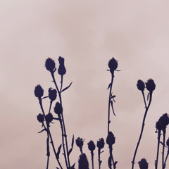 "Ode to R Montgomery / Cascading Waves" (Demo, 01/25)