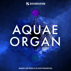 Lucas Schacht - The Sunken City (Library Only) - Soundiron Aquae Organ