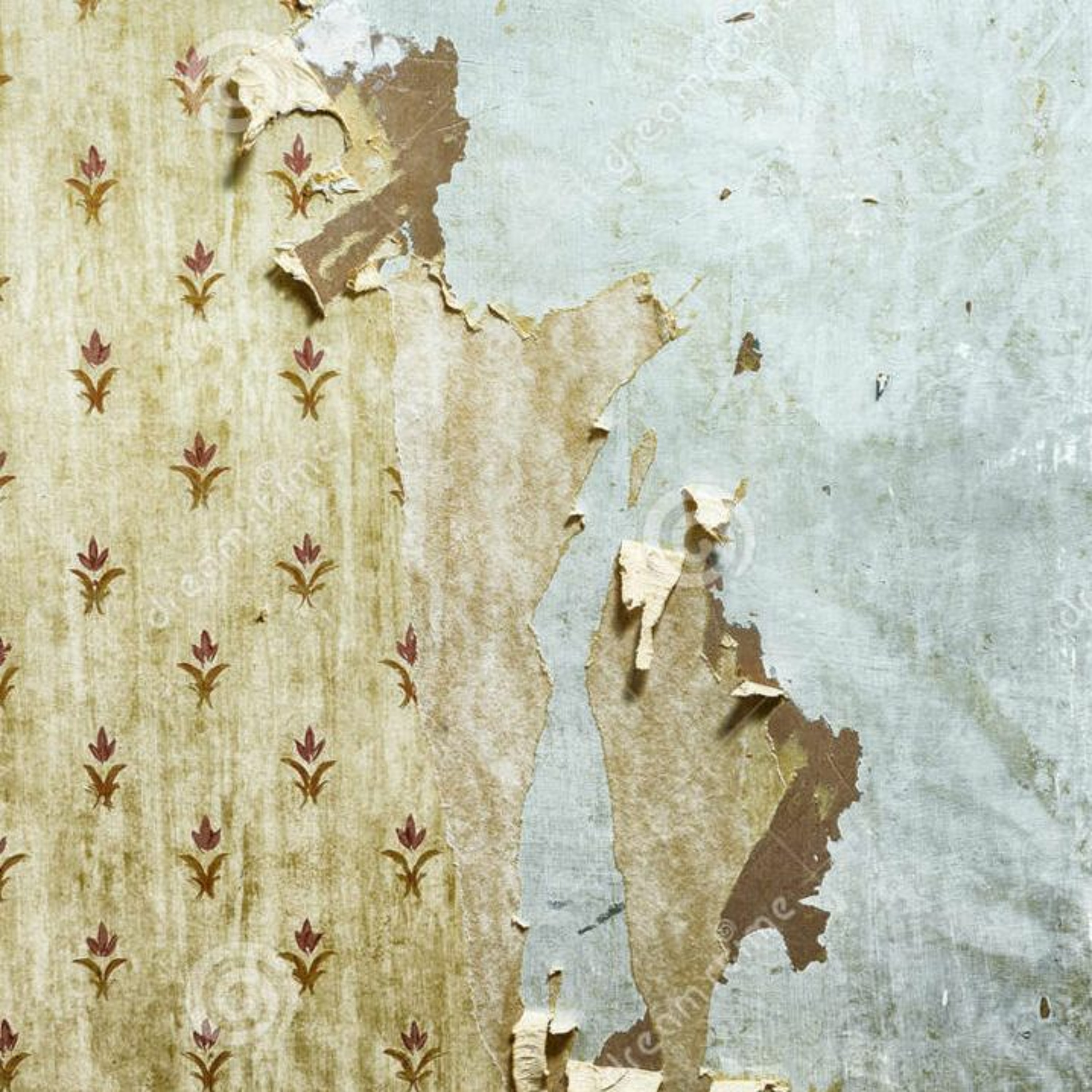 Disuse; Disrepair episode artwork