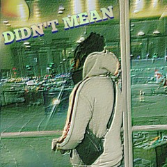 Didn't Mean