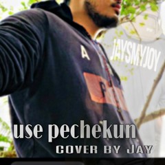 Use pechekun (cover by Jay)