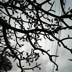 Something To Float In