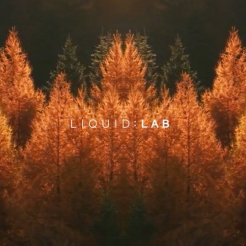 LIQUID : LAB Radio 019 (with MORTEN guest mix)